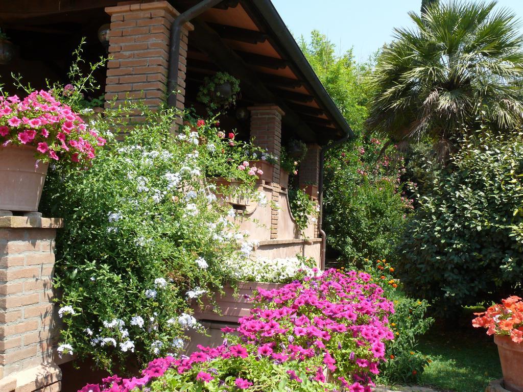 Agriturismo Da Lorena Marsiliana Exterior foto
